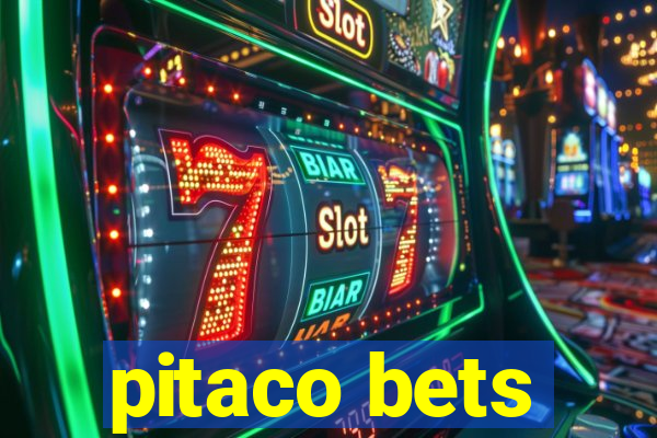pitaco bets